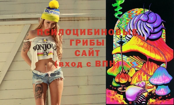 амф Балахна