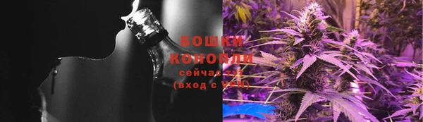 дурь Аркадак