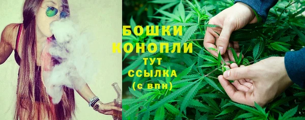 дурь Аркадак